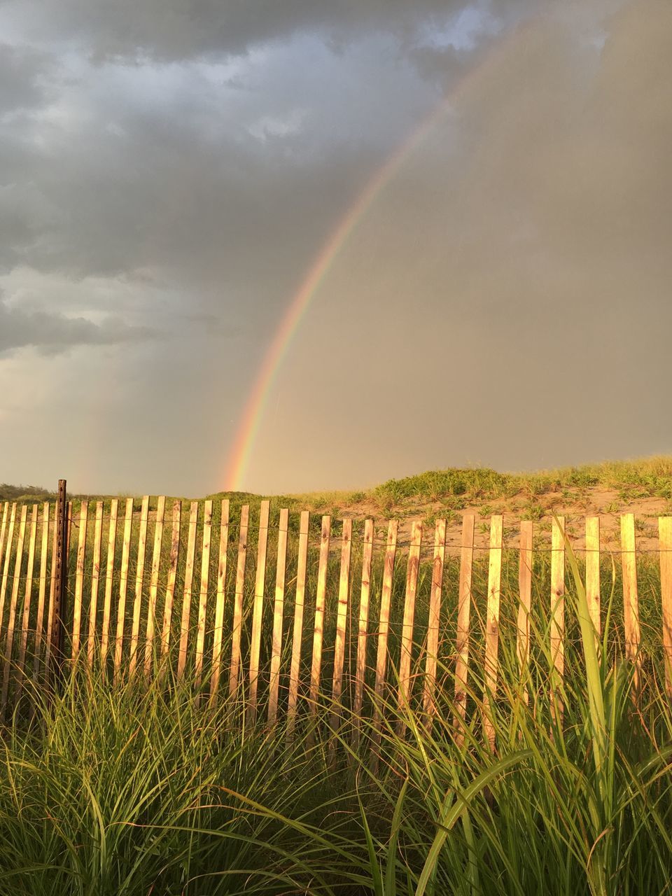 rainbow, scenics, double rainbow, nature, beauty in nature, tranquility, tranquil scene, sky, field, idyllic, outdoors, growth, cloud - sky, no people, day, landscape, agriculture, grass