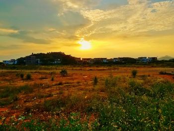 Scenic view of grassy field against cloudy sky during sunset