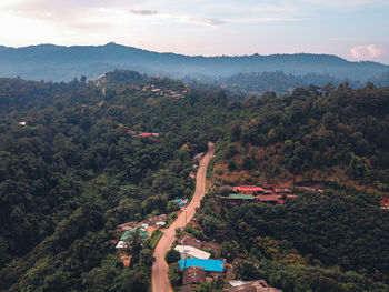 Aerial view of forest against sky