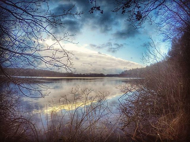 tranquility, sky, tranquil scene, bare tree, lake, water, scenics, reflection, beauty in nature, tree, cloud - sky, nature, branch, cloud, idyllic, cloudy, non-urban scene, lakeshore, outdoors, calm