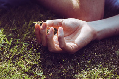 Close-up of woman hand on field