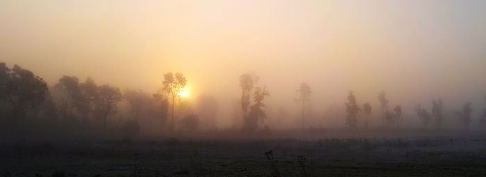 Silhouette trees on landscape against sky during sunrise