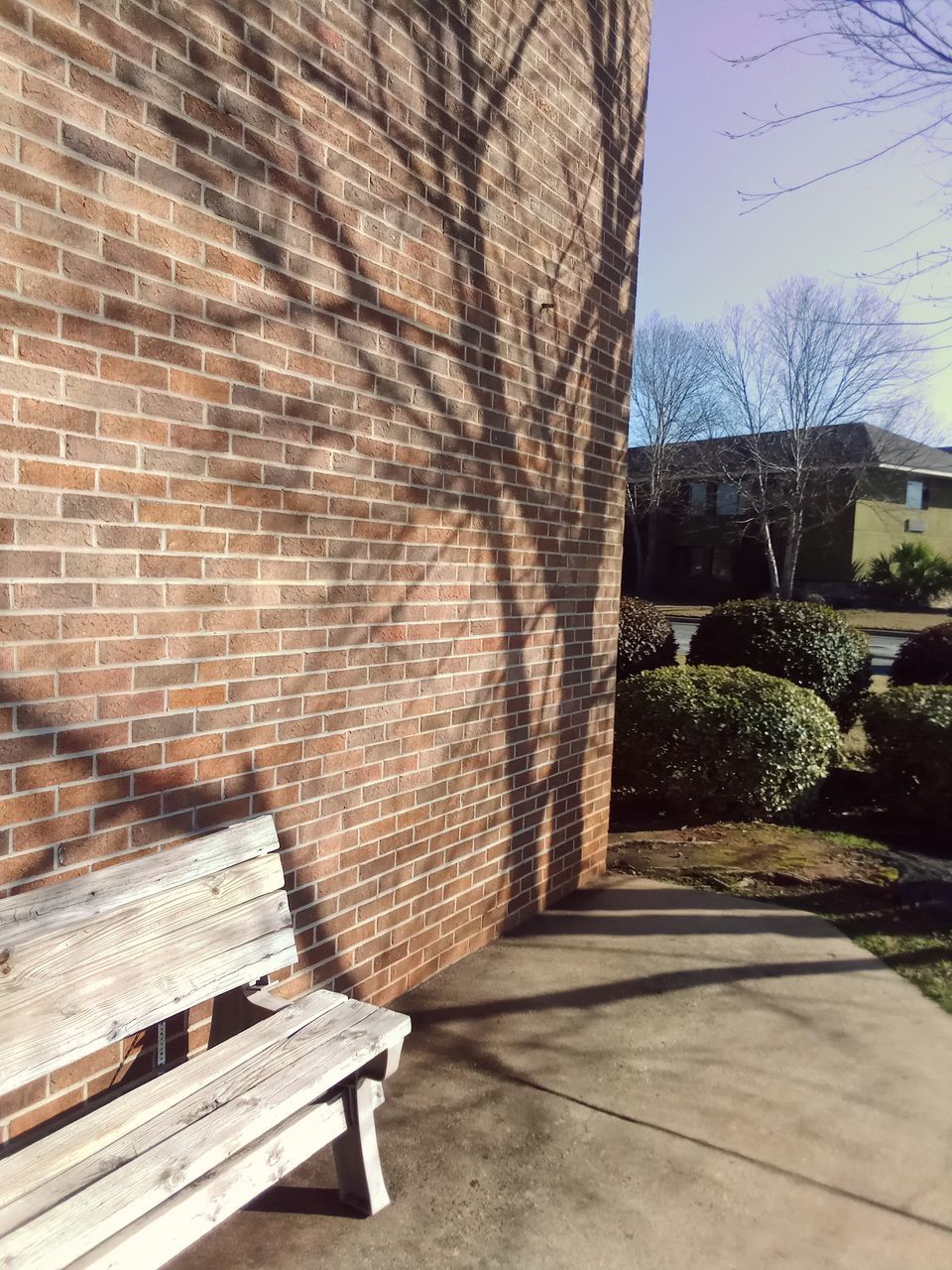 architecture, built structure, wall, building exterior, nature, wood, no people, day, brick, tree, sunlight, brick wall, plant, building, sky, outdoors, wall - building feature, shadow, footpath, bare tree, house, bench, seat, outdoor structure, city, residential district