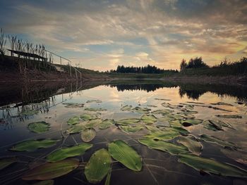 reflection