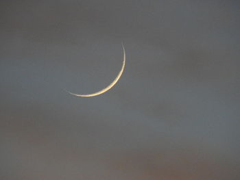 Low angle view of moon against sky at night