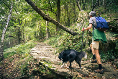 Man and his dog walking in the mountain forest. friends hike in the nature. guy with pet trekking 