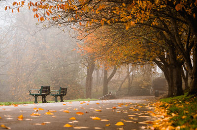 Empty bench in park