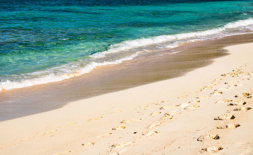 Scenic view of beach