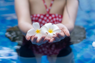 Midsection of woman holding white flowering plant in swimming pool