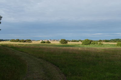 Scenic view of field against sky