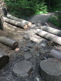 Surface level of stones on footpath