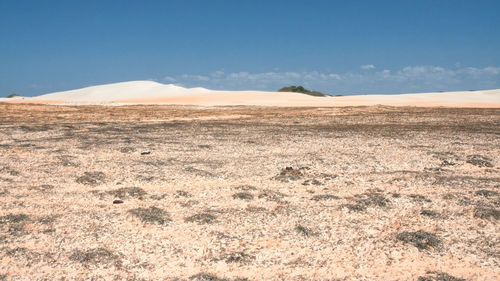 Scenic view of desert against sky