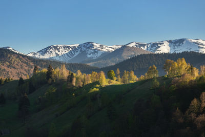 Scenic view of snowcapped mountains against clear blue sky