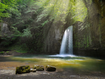 Scenic view of waterfall in forest