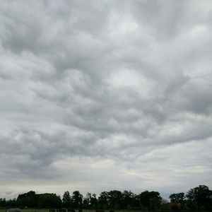 Low angle view of trees against cloudy sky