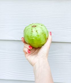 Close-up of woman holding apple