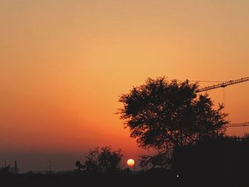 Silhouette tree against orange sky