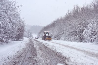 Road amidst bare trees against clear sky during winter