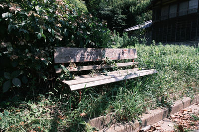 Empty bench on field against trees