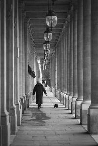 Rear view of person walking with dog by columns in passage