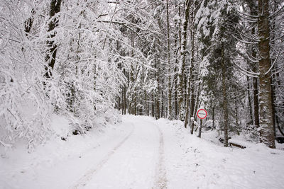 Snow covered road amidst trees in forest