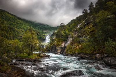 Scenic view of river flowing amidst trees against sky