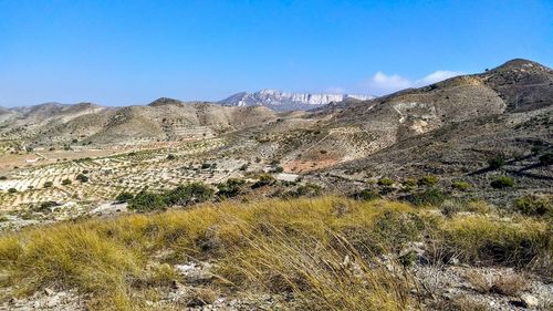 Scenic view of landscape against clear blue sky