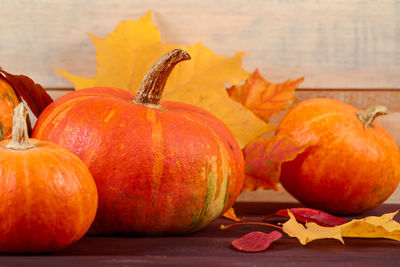 Close-up of pumpkins on table