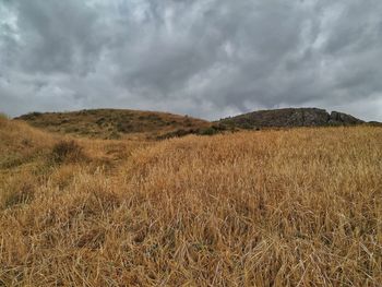 Scenic view of field against sky