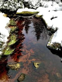 High angle view of reflection in lake