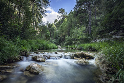 Stream flowing through rocks in forest against sky