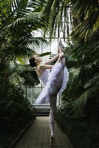 Ballet dancer dancing amidst palm trees