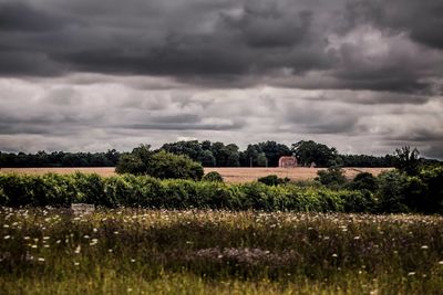 Scenic view of field against cloudy sky