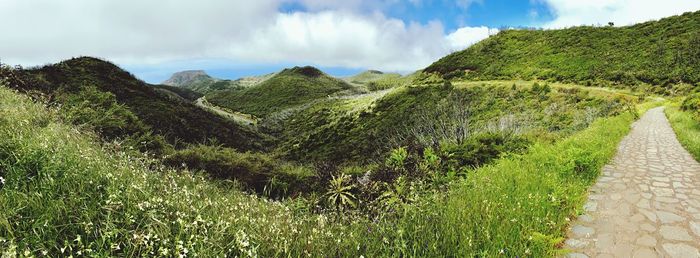 Panoramic view of green landscape against sky