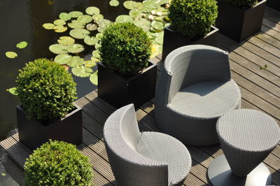 High angle view of chairs and plants