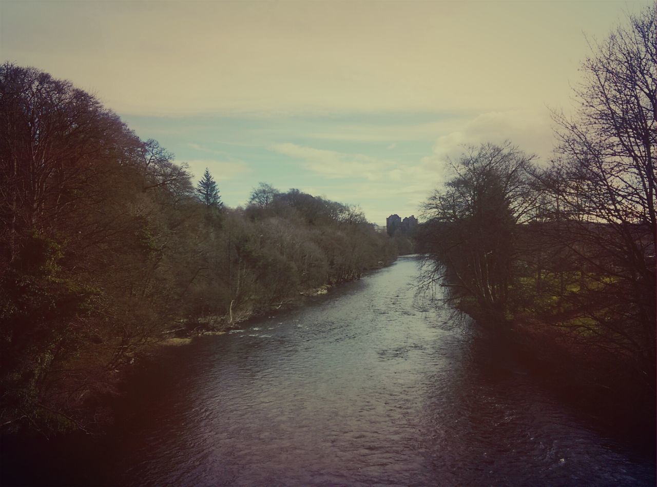 tree, water, sky, tranquility, tranquil scene, the way forward, nature, scenics, beauty in nature, river, diminishing perspective, stream, growth, canal, outdoors, cloud - sky, vanishing point, waterfront, no people, day