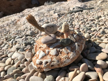 Close-up of pebbles on rock