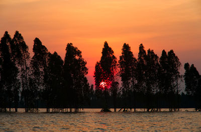 Silhouette trees by lake against sky during sunset