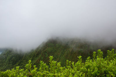 Scenic view of landscape against sky during foggy weather