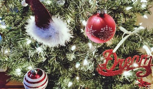 Close-up of christmas decoration on tree