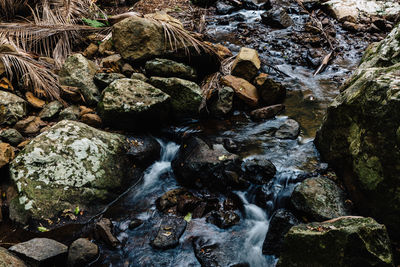 Stream flowing through rocks in forest