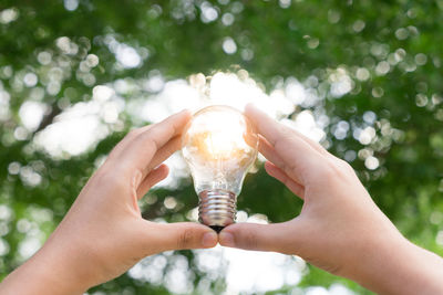 Close-up of human hands holding light bulb against trees