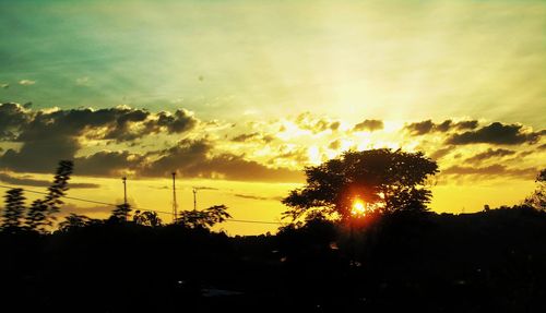 Silhouette of trees at sunset