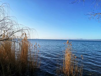 Scenic view of sea against clear sky