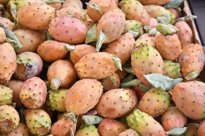 Full frame shot of apples