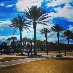 Palm trees against cloudy sky