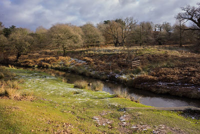 View of trees in river against cloudy sky