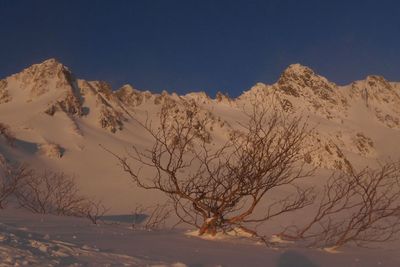 Low angle view of snowcapped mountain against clear blue sky