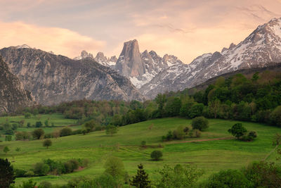 Picos de europe