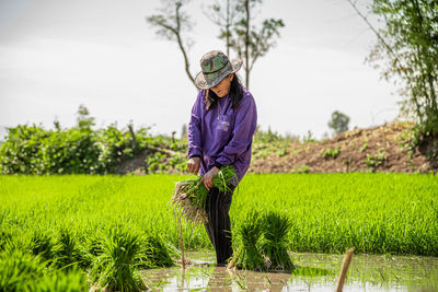 Full length of woman working in farm